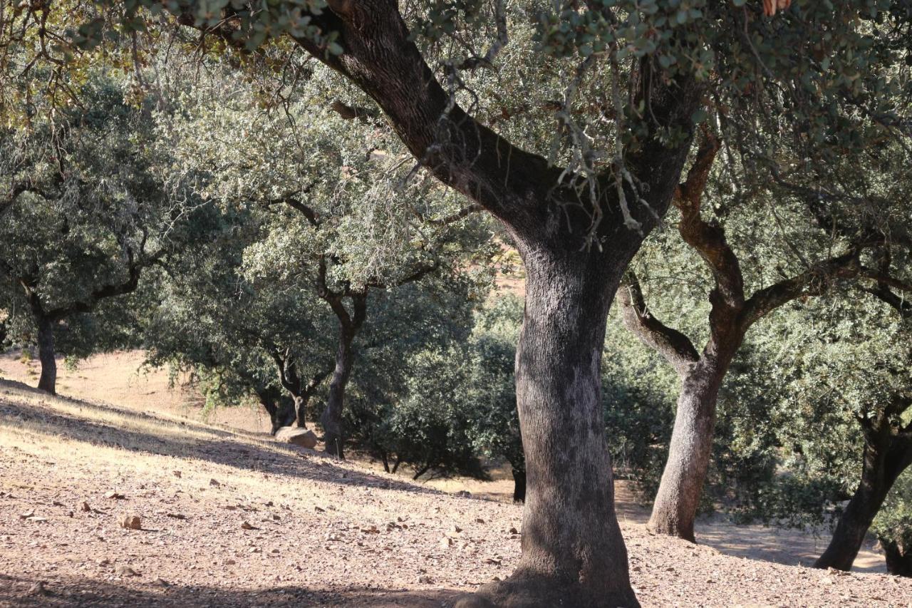 סנטה אולייה דל קאלה Casa Rural Quejigo Con Piscina מראה חיצוני תמונה