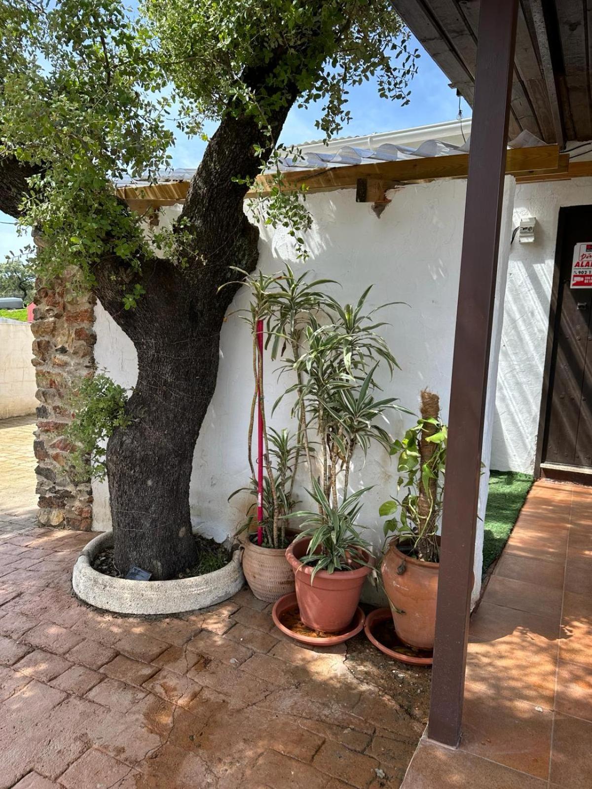 סנטה אולייה דל קאלה Casa Rural Quejigo Con Piscina מראה חיצוני תמונה